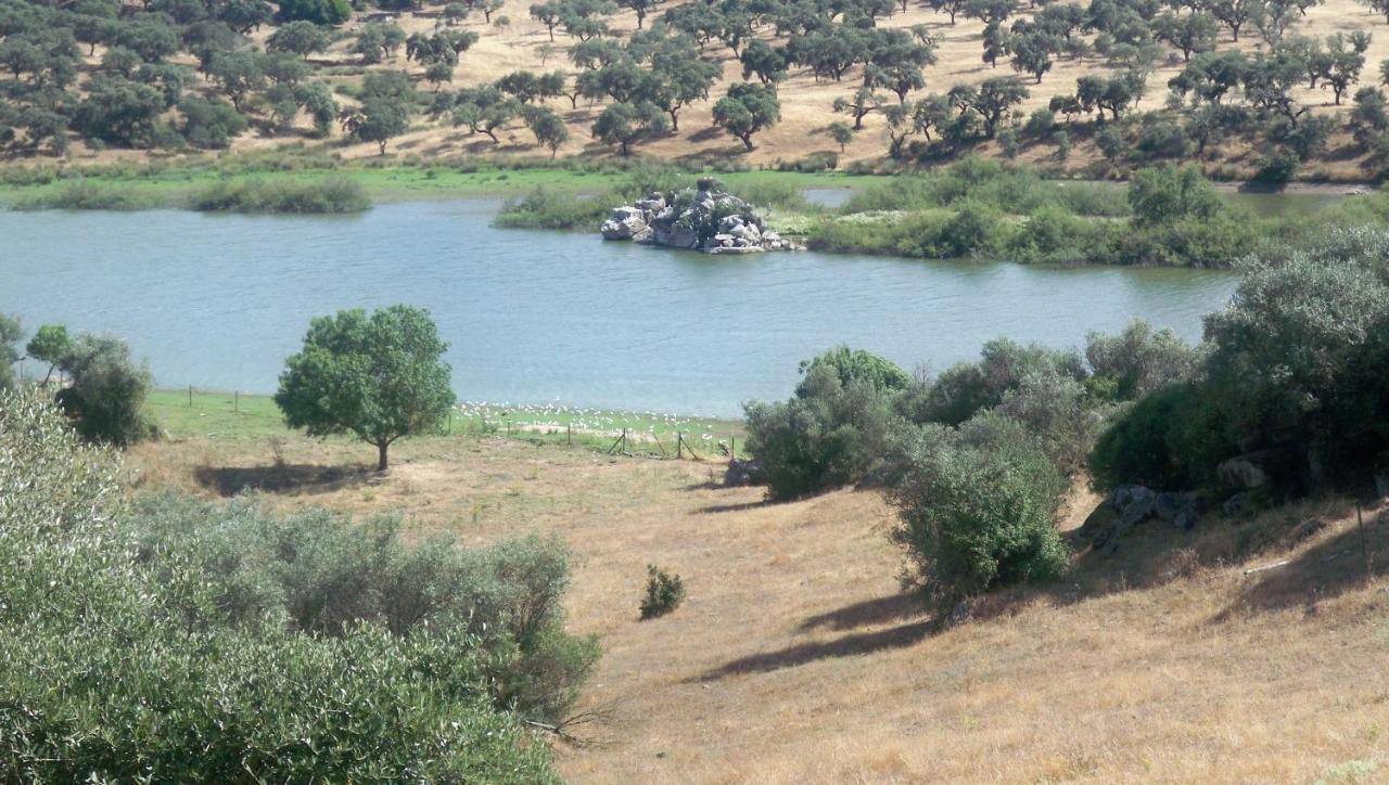 הוילה Figueira e Barros Monte Do Salto Da Raposa מראה חיצוני תמונה