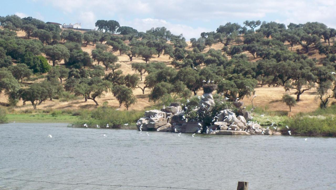 הוילה Figueira e Barros Monte Do Salto Da Raposa מראה חיצוני תמונה